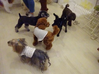 DSC00312.jpg