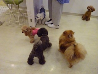 DSC00314.jpg