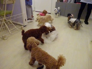 DSC00319.jpg