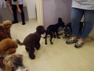 DSC00322.jpg