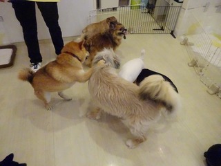 DSC00326.jpg