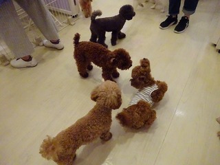 DSC00326.jpg