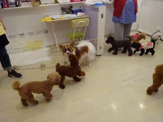 DSC00333.jpg