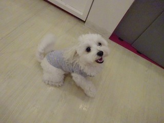DSC00350.jpg