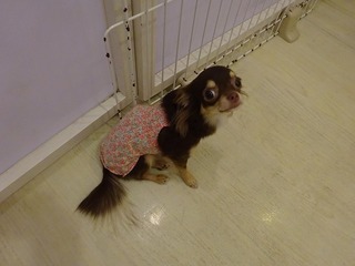 DSC00351.jpg