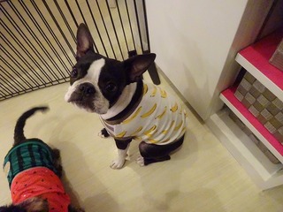 DSC00355.jpg
