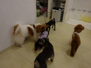 DSC00356.jpg