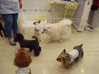 DSC00358.jpg