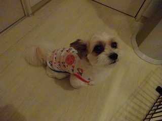 DSC00362.jpg