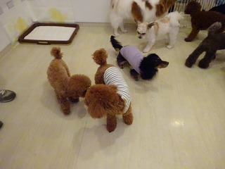 DSC00364.jpg