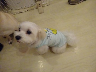 DSC00366.jpg