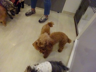 DSC00367.jpg