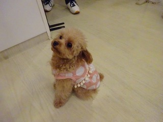 DSC00370.jpg