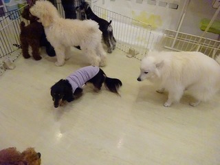 DSC00385.jpg