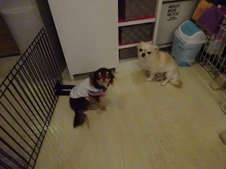 DSC00400.jpg