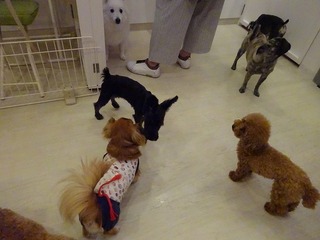 DSC00401.jpg