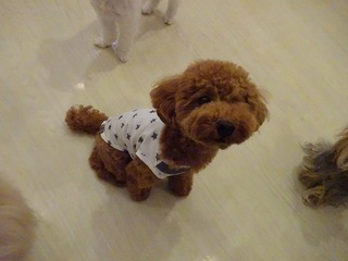 DSC00403.jpg