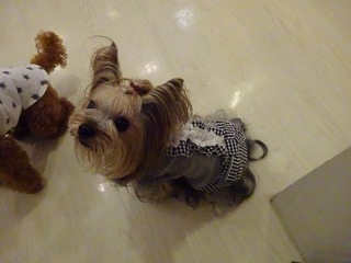 DSC00404.jpg