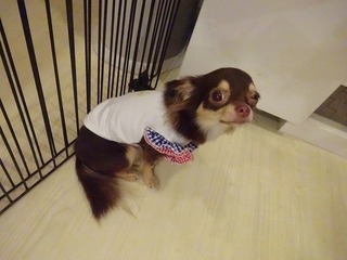 DSC00405.jpg