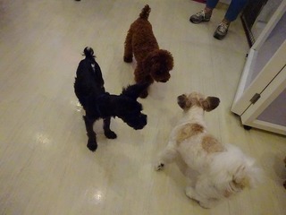 DSC00406.jpg