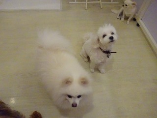 DSC00407.jpg