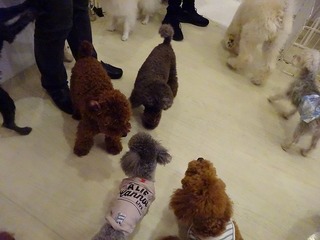 DSC00408.jpg