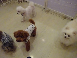 DSC00410.jpg