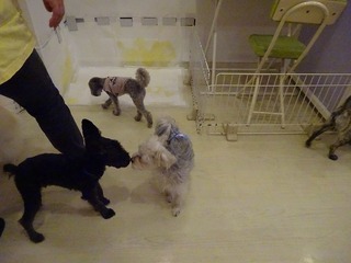 DSC00410.jpg