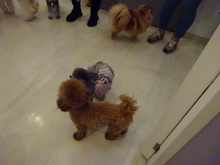 DSC00411.jpg