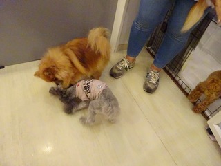 DSC00416.jpg