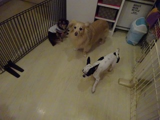 DSC00421.jpg