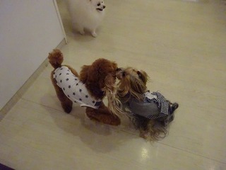 DSC00427.jpg