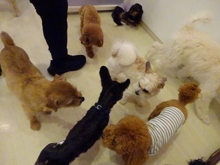 DSC00436.jpg