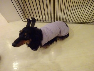 DSC00449.jpg
