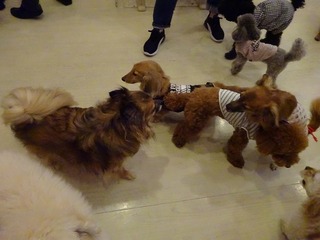 DSC00450.jpg