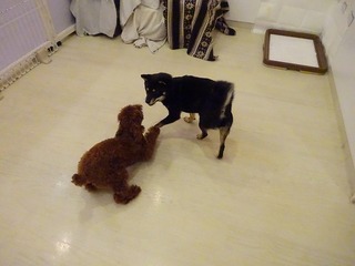 DSC00456.jpg
