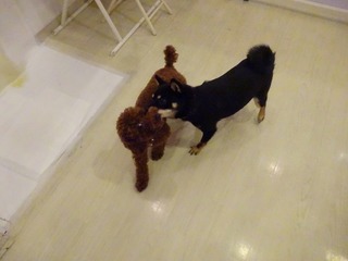 DSC00457.jpg