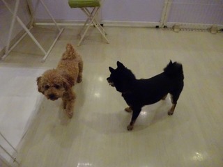 DSC00465.jpg