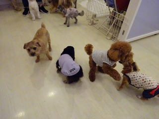 DSC00467.jpg