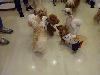DSC00474.jpg