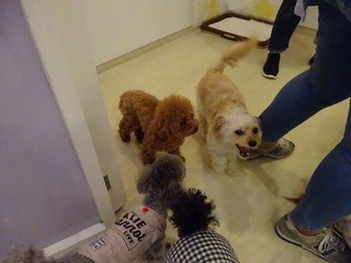 DSC00477.jpg