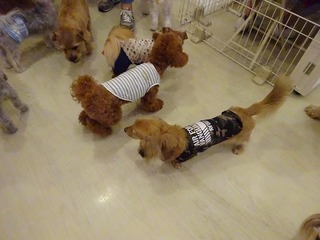 DSC00479.jpg