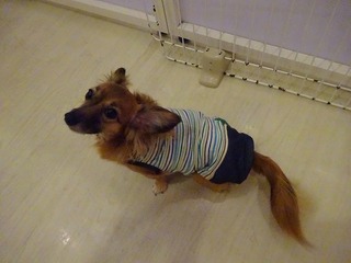 DSC00480.jpg