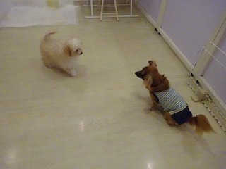 DSC00482.jpg