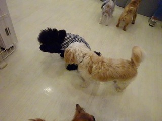 DSC00484.jpg