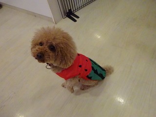 DSC00485.jpg