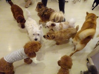DSC00488.jpg