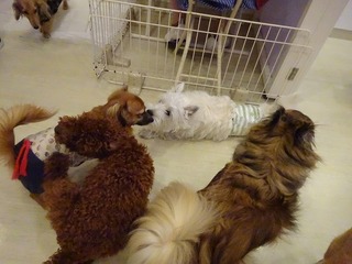 DSC00493.jpg