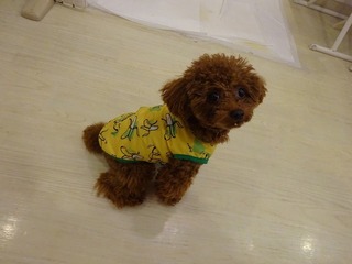 DSC00494.jpg