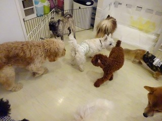 DSC00502.jpg